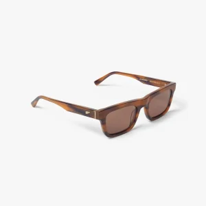 Pasteelo - Messy Weekend X Pasteelo Shades - Brown